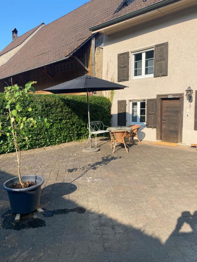 Ruhige 2 Zimmer Wohnung Diegten Exteriör bild